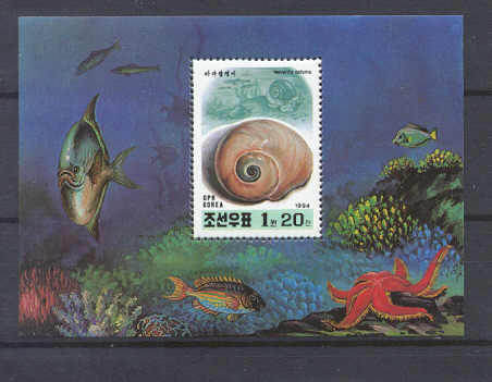 Korea N.3361 MNH s/s Sealife/Shells SCV2