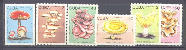 Cuba 3094-99 MNH Mushrooms SCV4.40
