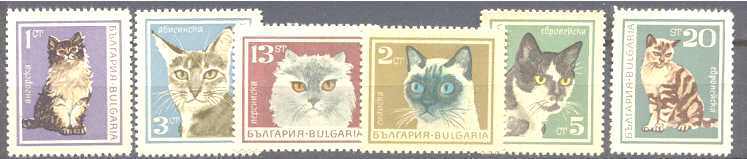 Bulgaria 1588-93 MNH Cats SCV4