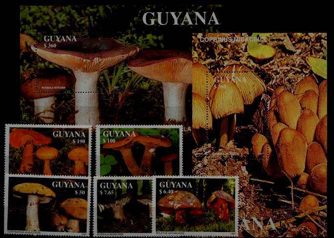 Guyana 2463-69 MNH Mushrooms SCV46