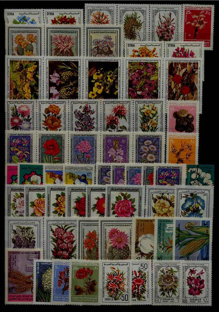 Syria MNH lot Flowers/ 61val.