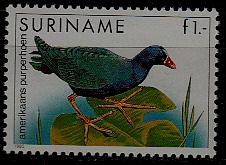 Suriname 725 MNH Birds/Fowl SCV1.75