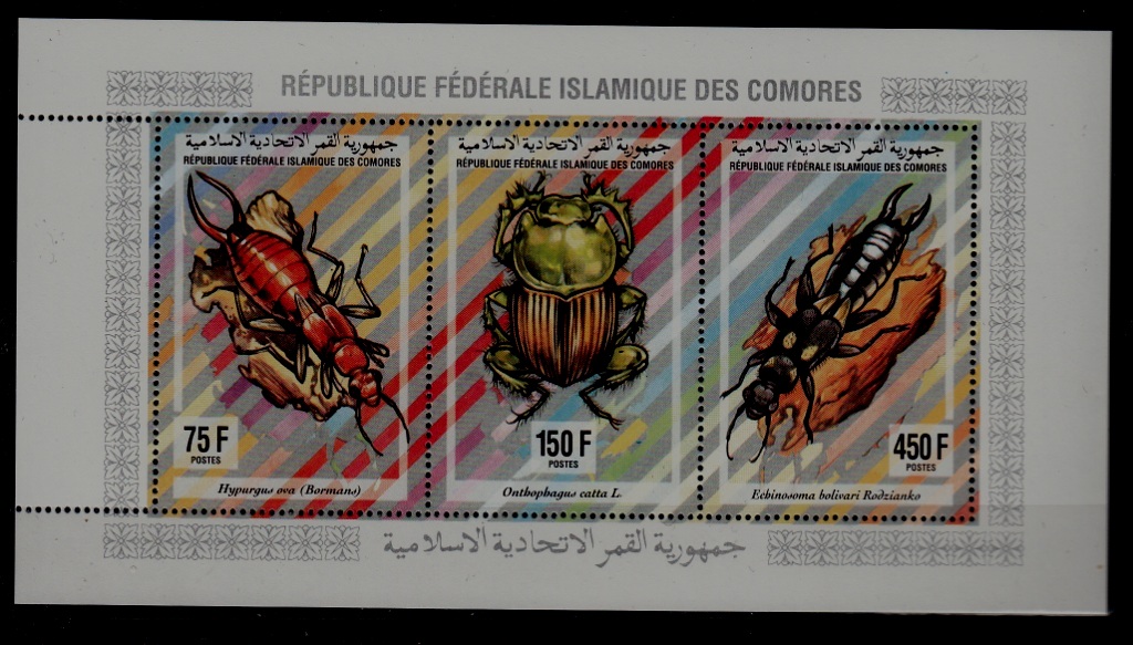 Comoro 812L MNH s/s Insects SCV16
