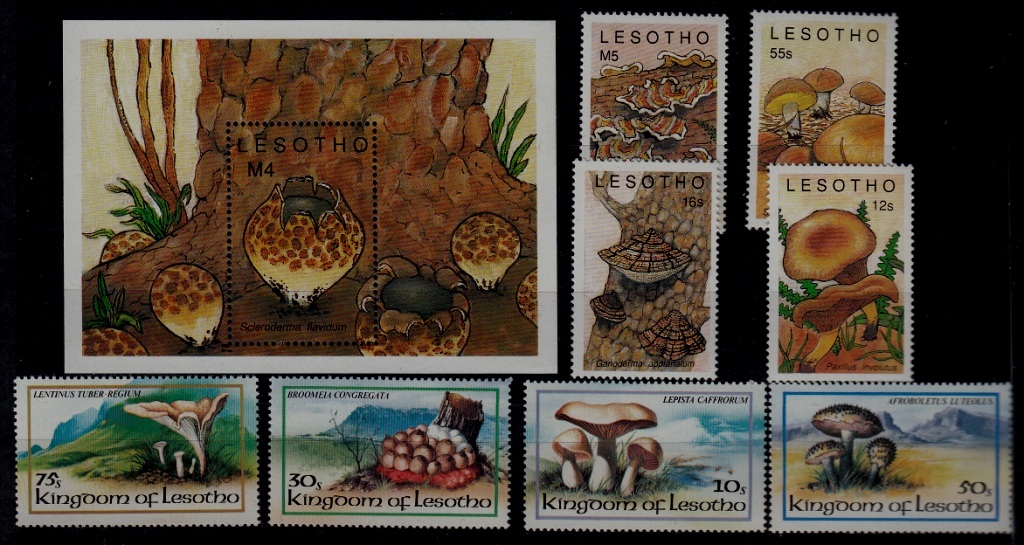 Lesotho MNH lot Mushrooms SCV15