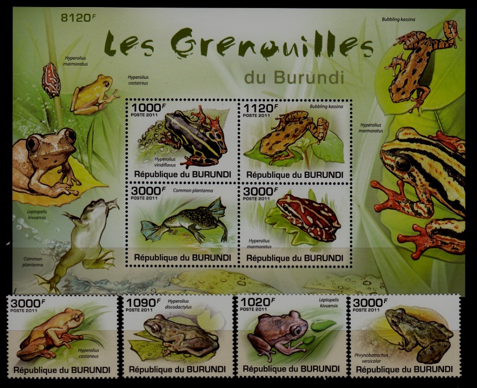 Burundi 902-06 MNH Frogs SCV30