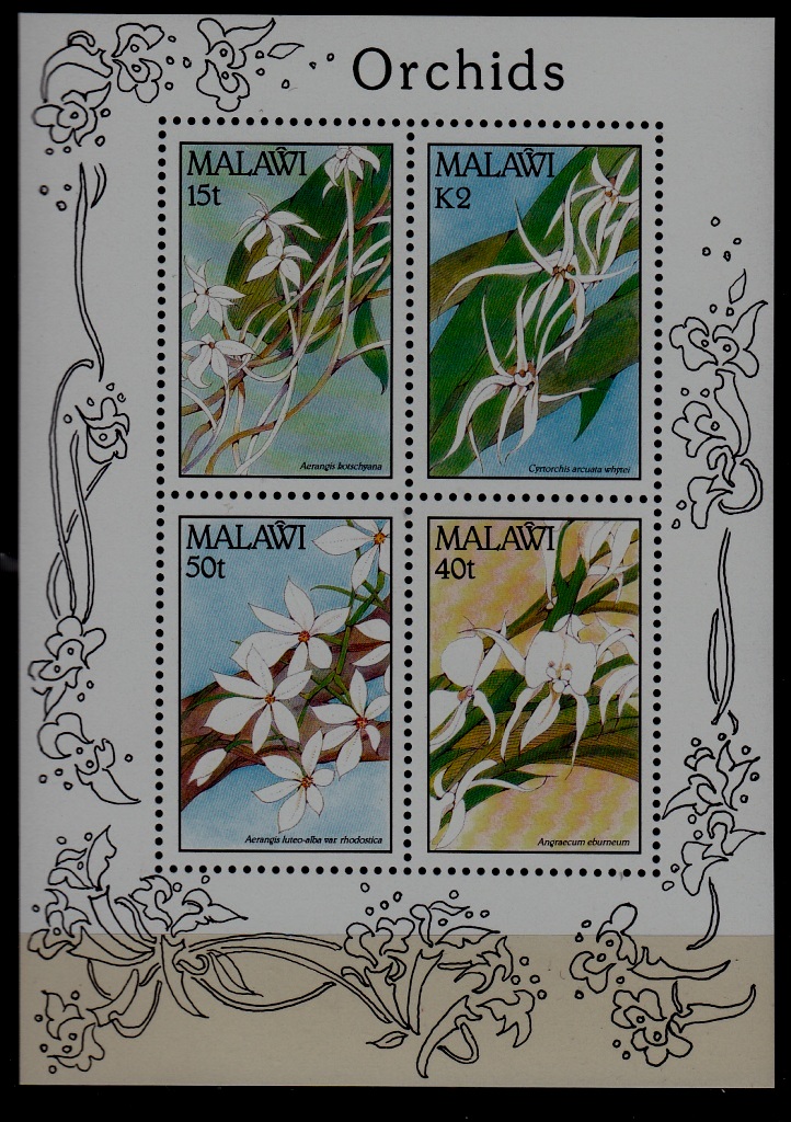 Malawi 581A MNH s/s Orchids SCV21
