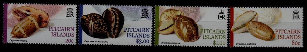 Pitcairn 548-51 MNH Shells SCV9